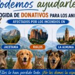 [EN] Juan Francisco Torralba, mayor of Las Peñas de Riglos: «The residents are very tired, but they are beginning to see the light»