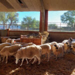Aragon works to guarantee water in the villages affected by the fire of Las Peñas de Riglos